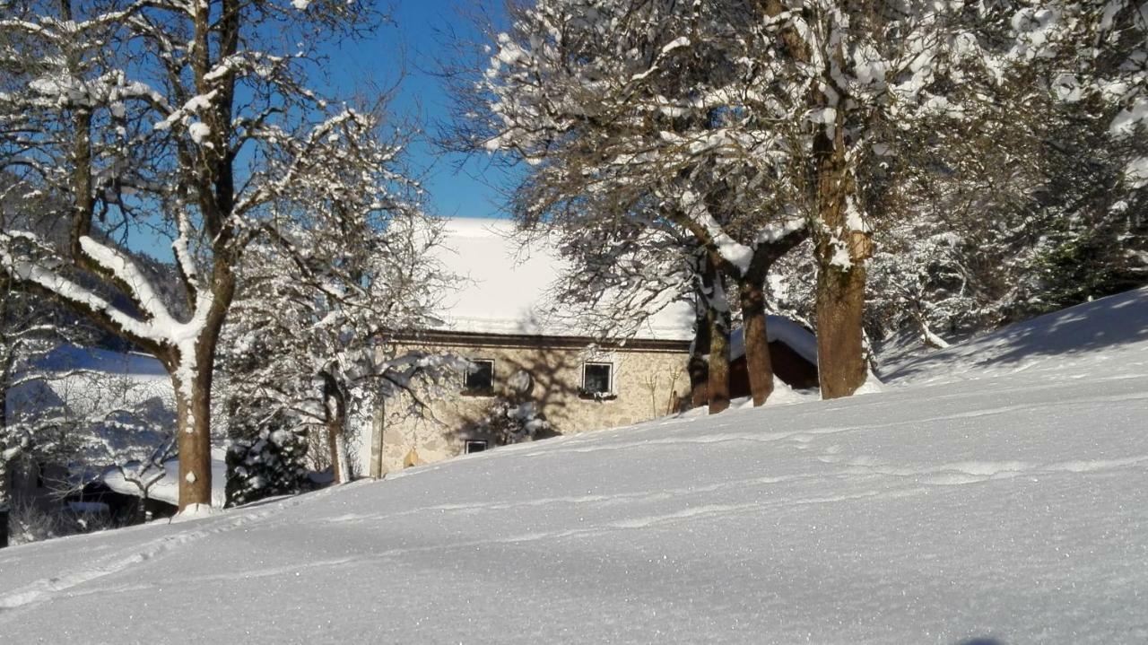 Sankt Pankraz Ferienhaus Hirschnest מראה חיצוני תמונה