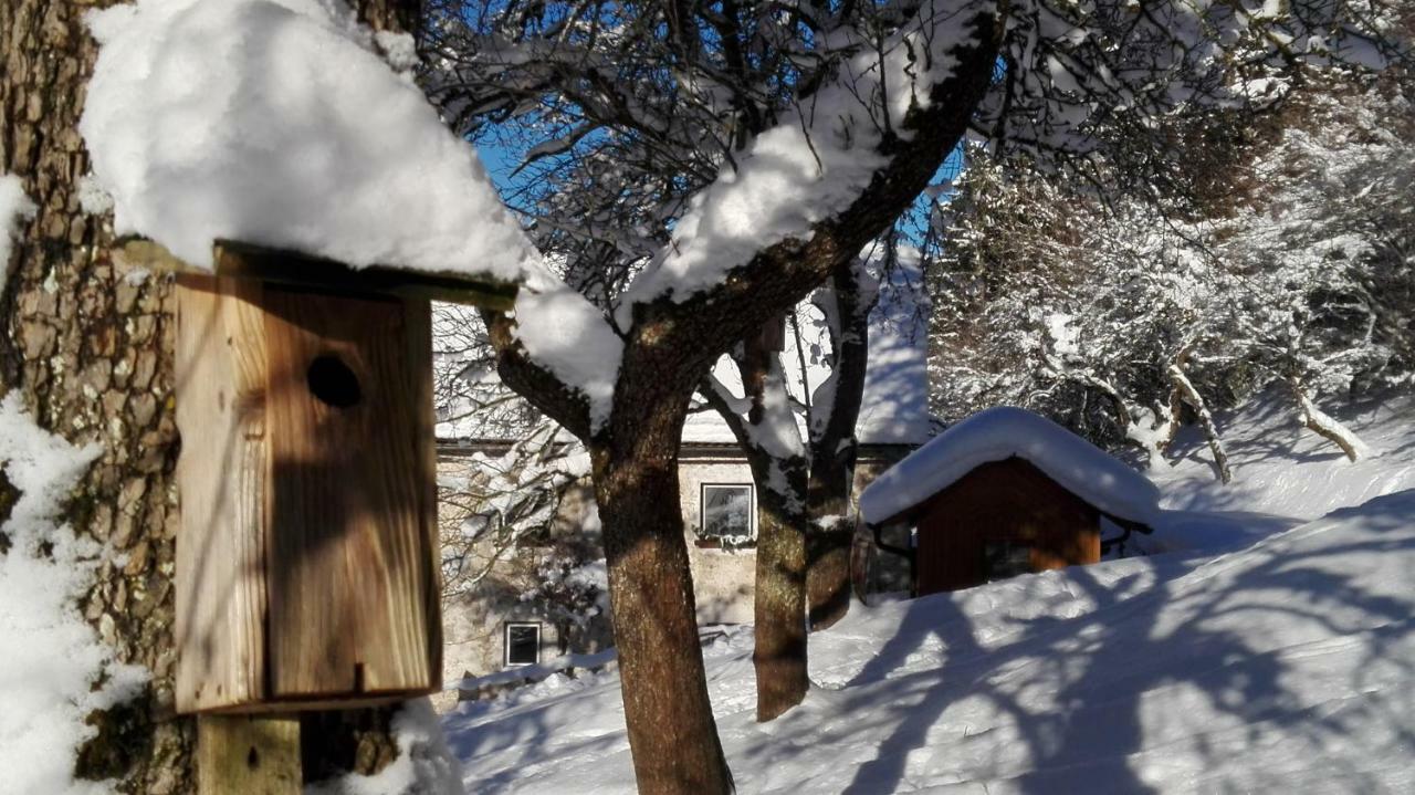 Sankt Pankraz Ferienhaus Hirschnest מראה חיצוני תמונה